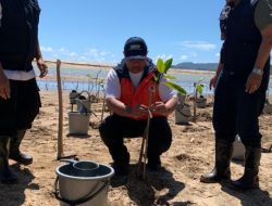 Tanam Mangrove: Mitigasi Bahaya Tsunami Kawasan Pacitan Dengan Vegetasi