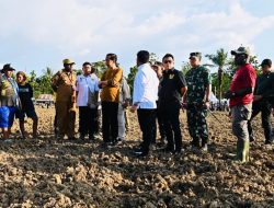 Presiden Jokowi Tinjau Food Estate di Keerom Papua