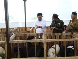 Mentan SYL Ajak Para Peternakan di Kabupaten Bogor Penuhi Kebutuhan Daging Lokal