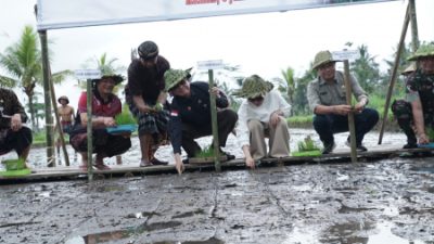 Wamentan Dorong Masyarakat Bali Bumikan Pupuk Organik