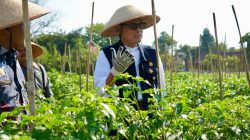 Transformasi Pertanian Modern, Petani Masa Kini Wajib Terapkan Smart Farming