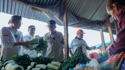 Wamentan Sidak Pasar di Manokwari Jelang Nataru, Minta Pemda Jaga Disparitas Harga Pangan